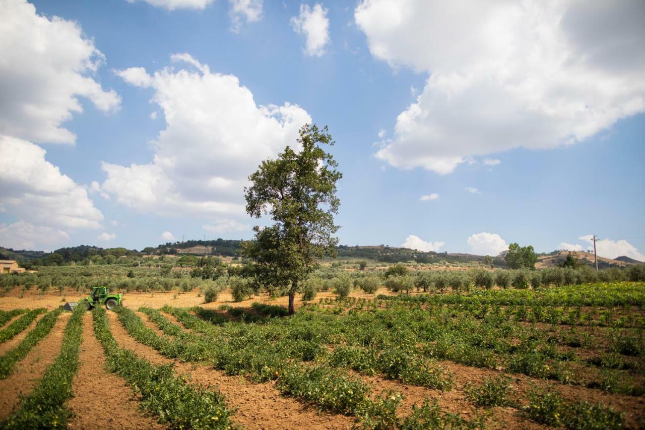 Leano Agriresort П'яцца-Армерина Екстер'єр фото